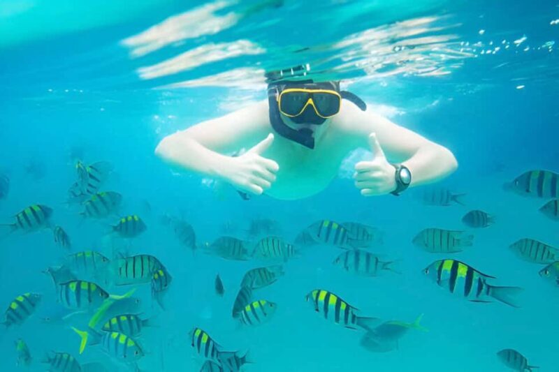 Puerto Plata: Snorkeling Excursion to Sosúa beach - Discovering Sosúa Bay’s Underwater World