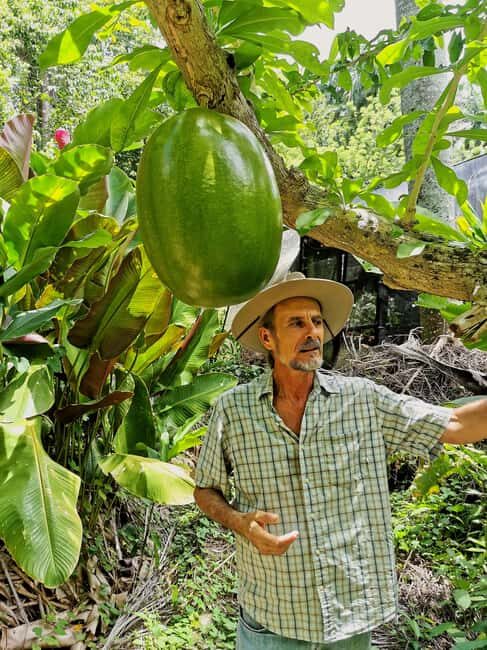 Puerto Plata: Taino Valley and Dominican Flavor Experience - Fruit Tasting and Organic Flavors