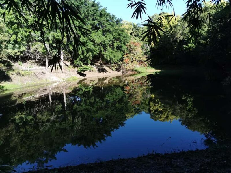 Puerto Plata: Taino Valley and Dominican Flavor Experience - Coffee and Cigar Demos