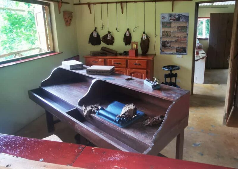 Puerto Plata: Taino Valley and Dominican Flavor Experience - Authentic Dominican Lunch at Casa Antigua