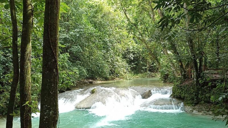 Puerto Plata: Taino Valley and Dominican Flavor Experience - Practical Details