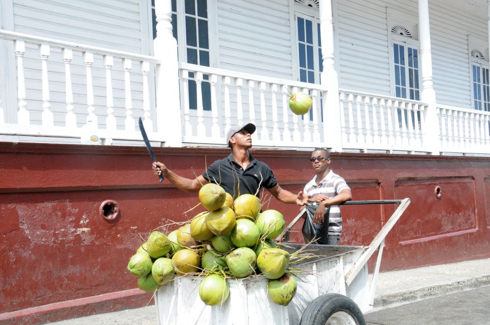 Puerto Plata Tour: History, Culture and Cable Car Ride - Key Points