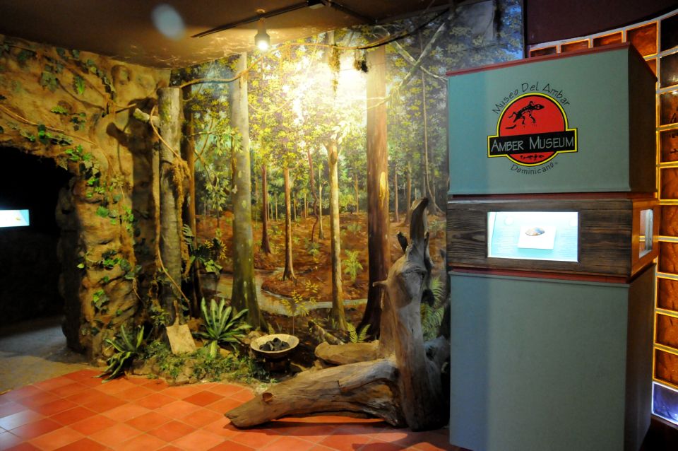 Puerto Plata Tour: History, Culture and Cable Car Ride - Typical Dominican Lunch