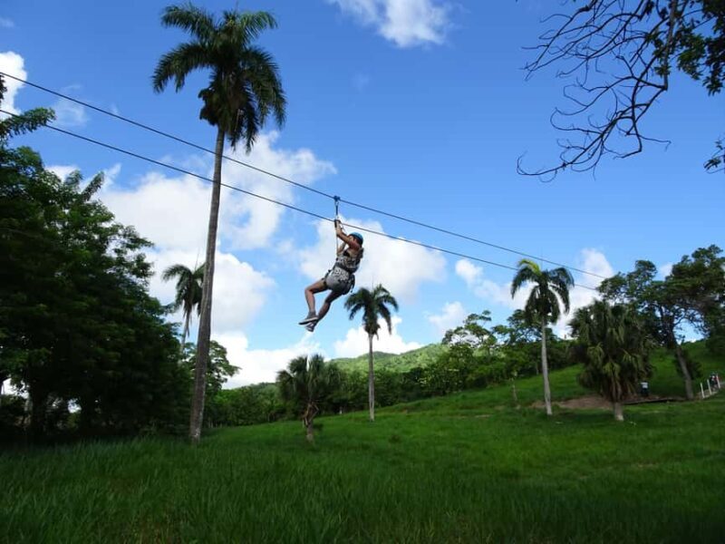 Puerto Plata: Zip Line Adventure - Practical Tips for Future Adventurers