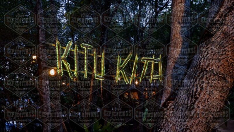 Puerto Princesa: Firefly Watching Paddle Boat Tour & Dinner - Experience Highlights