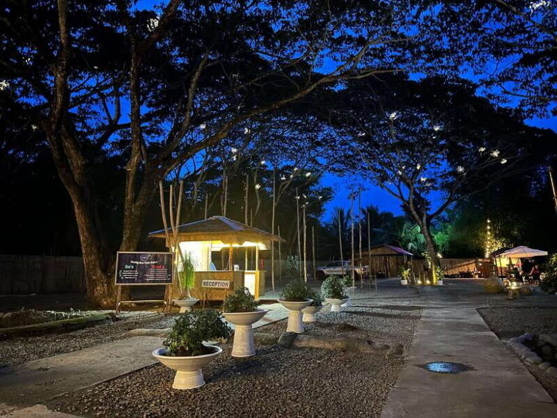 Puerto Princesa: Iwahig Firefly Watching & River Cruise - The Downside and Considerations