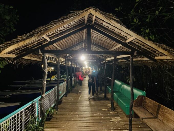 Puerto Princesa: Jungle Firefly Watching Boat Tour & Dinner - Booking and Availability