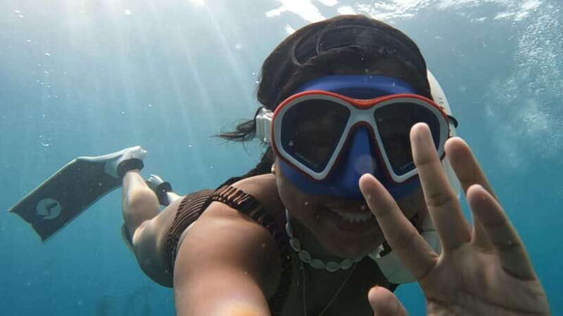 Puerto Princesa: WhaleShark Watching Yacht Tour with Lunch - Final Thoughts: Who Will Love This Experience?