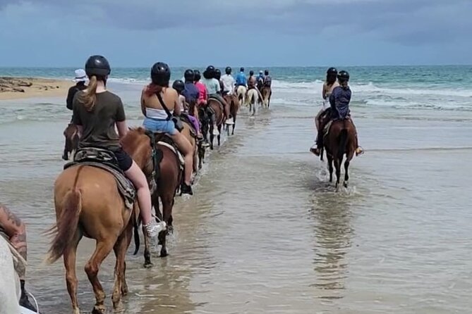 Puerto Rico Beach Horseback Riding Guided Tour - Good To Know