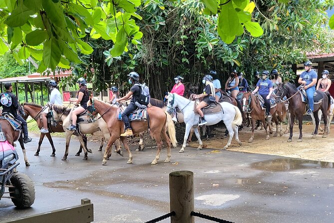 Puerto Rico Beach Horseback Riding Guided Tour - Experience Highlights