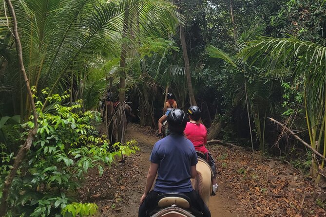 Puerto Rico Beach Horseback Riding Guided Tour - Booking and Cancellation Policy