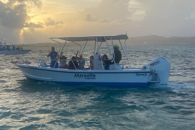 Puerto Rico: Bio Bay Swim and Sunset Charter or Late night tour - An In-Depth Look at the Puerto Rico Bio Bay & Sunset Tour
