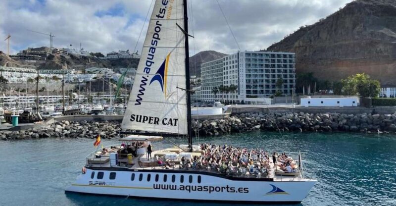 Puerto Rico De Gran Canaria: Premium Dolphin Catamaran Tour - Experience Highlights