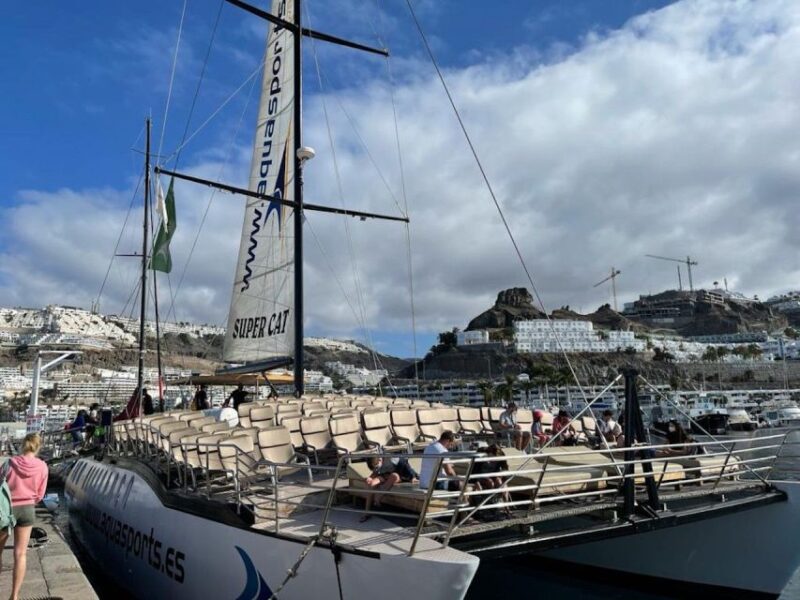Puerto Rico De Gran Canaria: Premium Dolphin Catamaran Tour - Customer Feedback