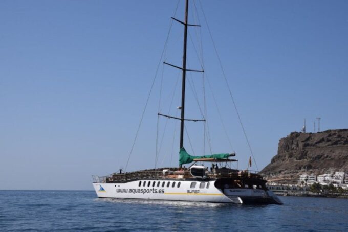 Puerto Rico De Gran Canaria: Premium Dolphin Catamaran Tour - Dolphin Spotting Opportunities