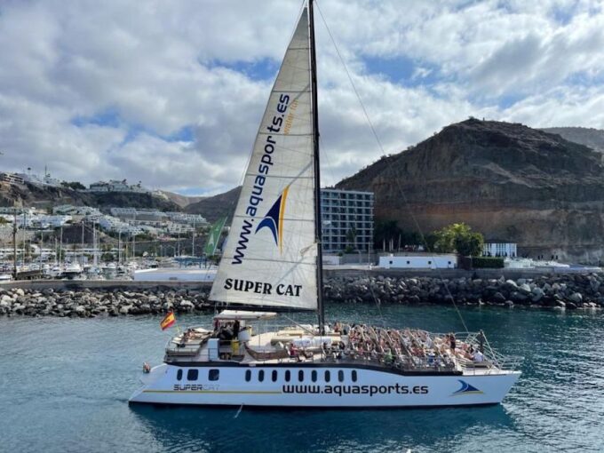 Puerto Rico De Gran Canaria: Premium Dolphin Catamaran Tour - Post-Tour Refreshing Dip