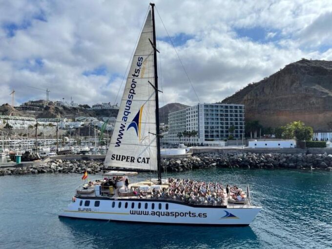 Puerto Rico De Gran Canaria: Premium Dolphin Catamaran Tour - Frequently Asked Questions