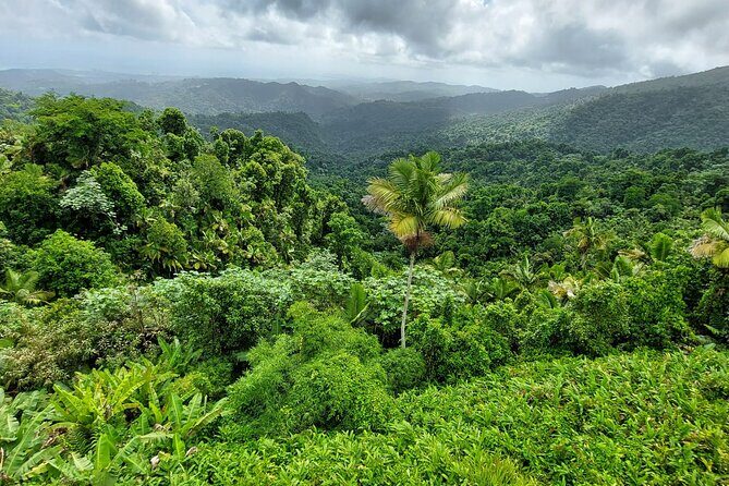Puerto Rico: El Yunque Sightseeing Half-Day Tour w/Transfer - The Sum Up: Is It Worth It?
