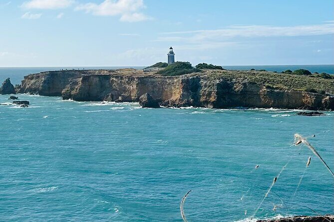 Puerto Rico Hiking Adventure Nature History and Coastal Views - Why This Tour Offers Great Value
