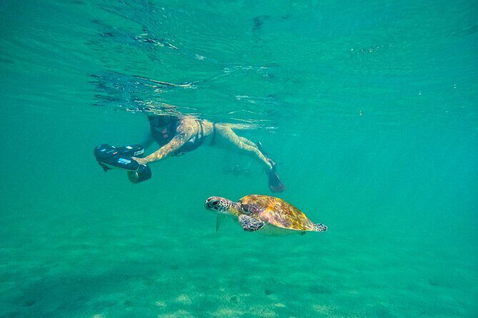 Puerto Rico Jet Snorkel with Turtles and Videos in San Juan - What Makes This Tour Stand Out?