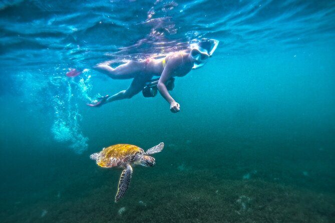 Puerto Rico Jet Snorkel with Turtles and Videos in San Juan - The Experience: What You Can Expect