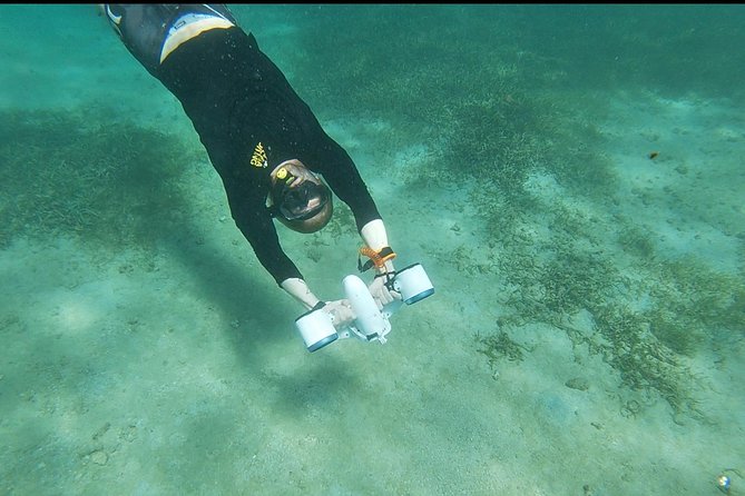 Puerto Rico Jet Snorkel With Turtles and Videos in San Juan - Sighting Sea Turtles
