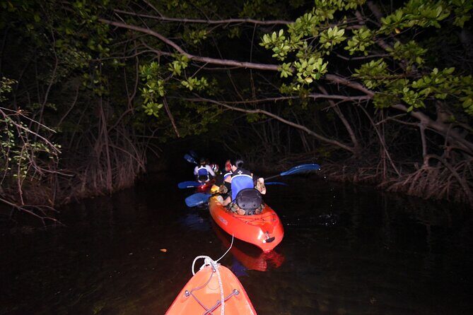 Puerto Rico Sunset Magic: Bio Bay Kayaking Tour from Fajardo - Final Word