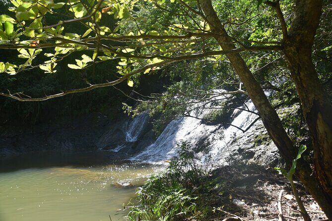 Puerto Rico Waterfall Hiking Tour: Discover Hidden Gems 2.0 - Key Points