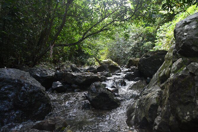 Puerto Rico Waterfall Hiking Tour: Discover Hidden Gems 2.0 - The Value of the Experience