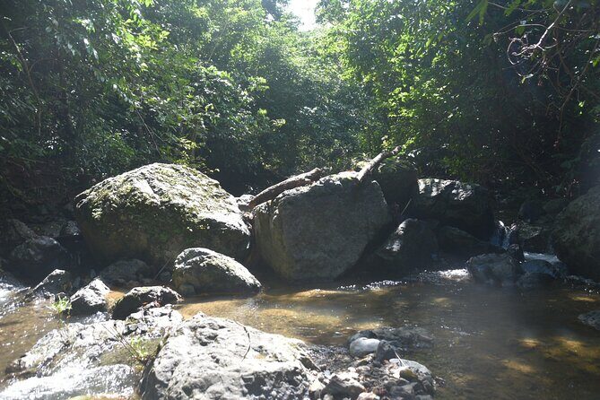 Puerto Rico Waterfall Hiking Tour: Discover Hidden Gems 2.0 - FAQ: Common Questions About the Waterfall Hiking Tour
