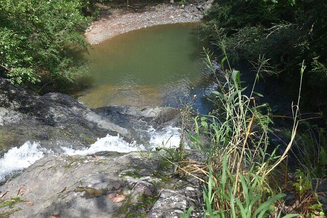 Puerto Rico Waterfall Hiking Tour: Discover Hidden Gems 2.0 - Final Thoughts