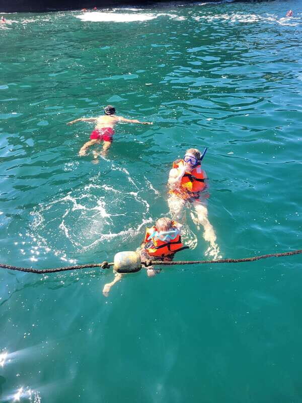 Puerto Vallarta: 3-Hour Whale Watching and Snorkeling - The Itinerary: What to Expect on This Short but Action-Packed Tour