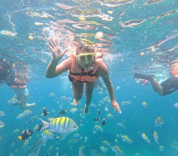 Puerto Vallarta: All-inclusive cruise-ship passenger snorkeling beach and waterfall - Final Thoughts