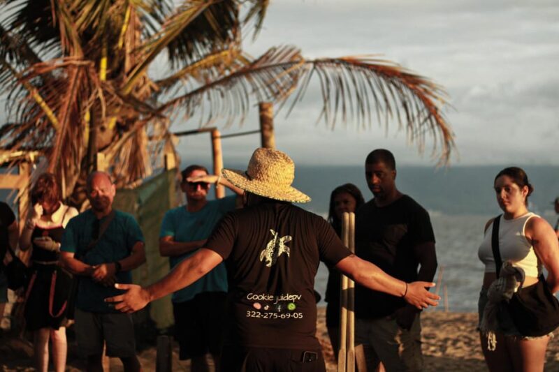 Puerto Vallarta: Baby Turtle Release in Conservation Area - A Closer Look at the Itinerary