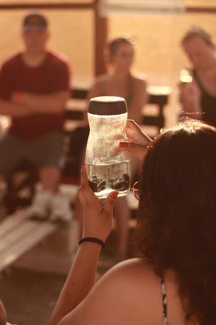 Puerto Vallarta: Baby Turtle Release in Conservation Area - Authentic Reviews and What Travelers Say