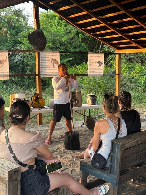 Puerto Vallarta: Baby Turtle Release in Conservation Area - Final Thoughts