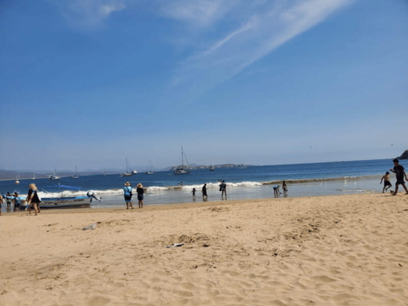 Puerto Vallarta: Beach Tour Experience - The Experience: A Closer Look