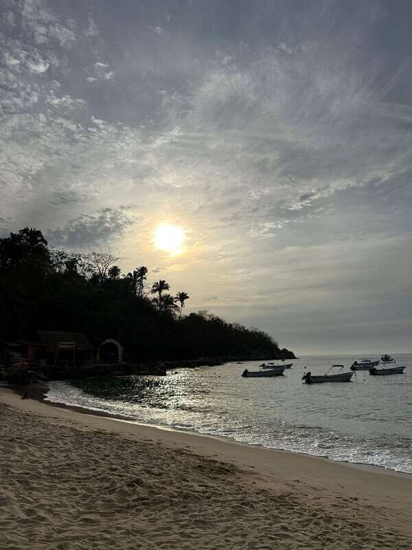 Puerto Vallarta: Bioluminescence in Los Arcos Marine Park - An Introduction to the Bioluminescence Tour