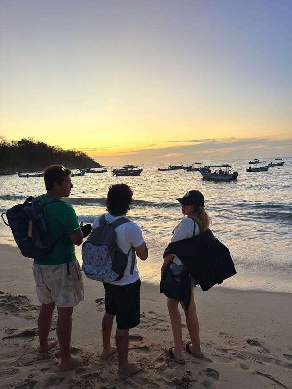 Puerto Vallarta: Bioluminescence in Los Arcos Marine Park - The Magic of Bioluminescence: What to Expect