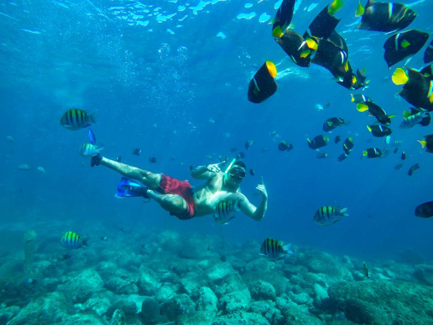 Puerto Vallarta: Boat Tour With Beach Stops & Horseback Ride - Horseback Ride Along Yelapa River