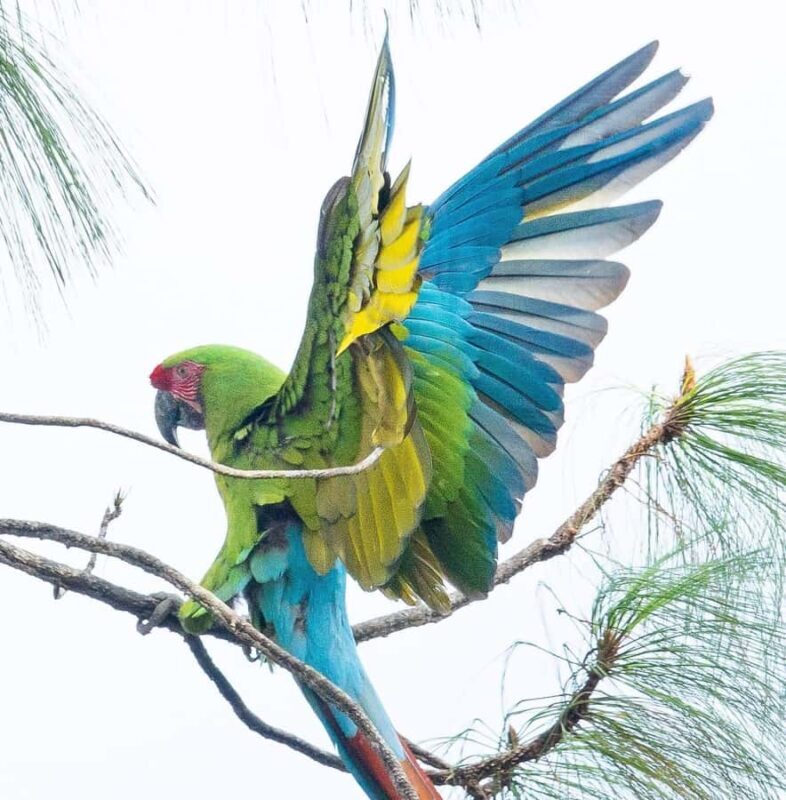 Puerto Vallarta: Botanical Garden & Tequila Tasting Tour - Key Points