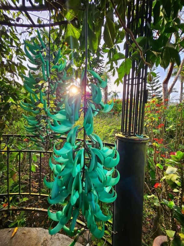 Puerto Vallarta: Botanical Garden & Tequila Tasting Tour - The Sum Up