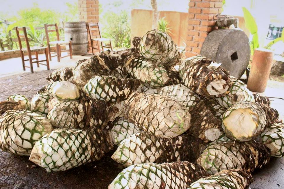 Puerto Vallarta: Botanical Gardens, Distillery & Coffee Tour - Botanical Gardens