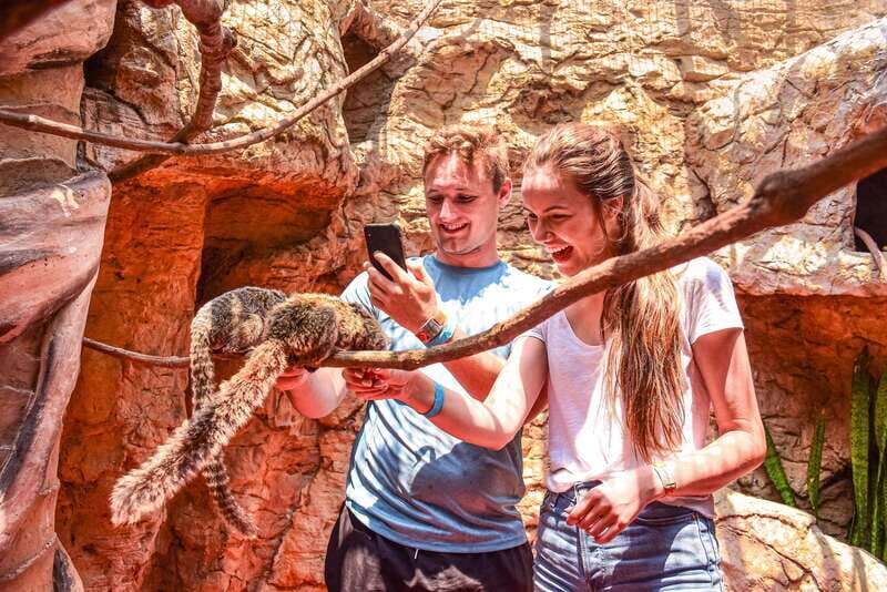 Puerto Vallarta: Canopy Tour with Zipline and Speedboat Ride - Who Will Love This Tour?