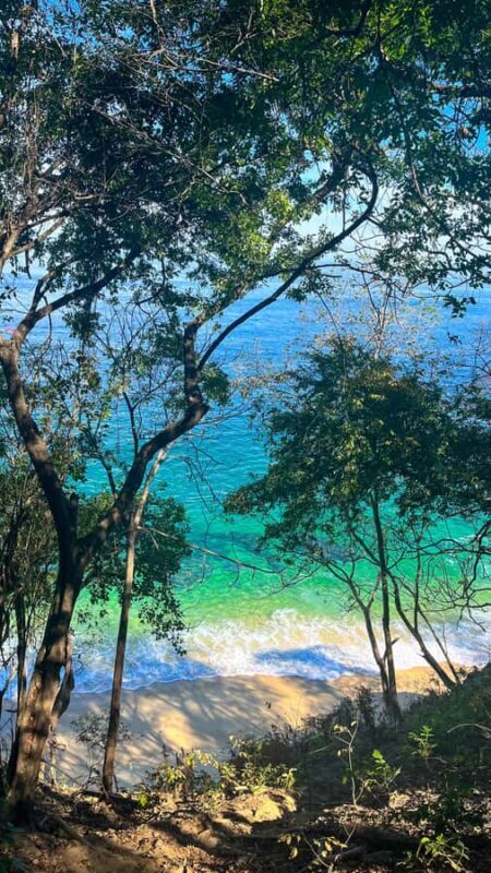 Puerto Vallarta: Coastal Hiking along Magical Beaches - Authentic Experiences and Real Traveler Feedback