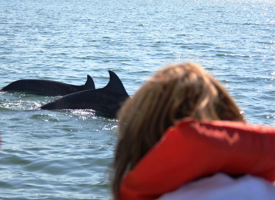 Puerto Vallarta: Dolphin Watching Cruise With a Biologist - Cruise Features and Highlights