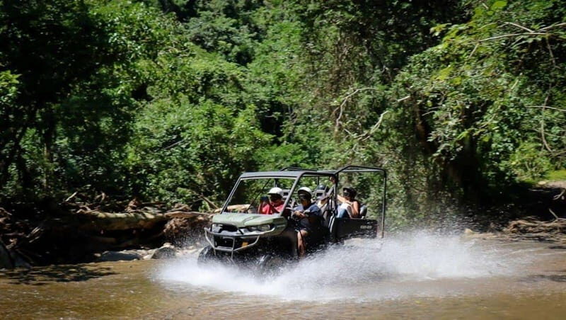 Puerto Vallarta: Explore the Rio Cuale on a Buggy Adventure - An In-Depth Look at the Rio Cuale Buggy Adventure