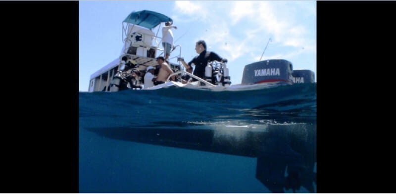 Puerto Vallarta: Exploring Majahuitas Underwater - The Scenic Boat Ride and Secluded Setting