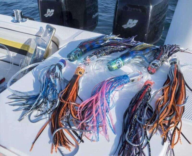 Puerto Vallarta: Fishing Cachi I 28 - What to Expect on Your Fishing Trip