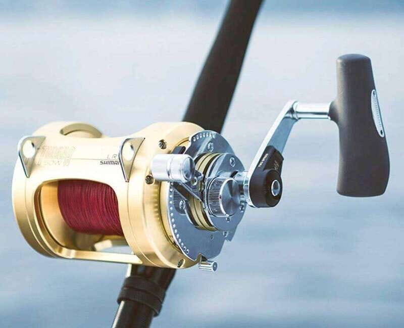 Puerto Vallarta: Fishing Cachi I 28 - The Experience: What Are Travelers Saying?